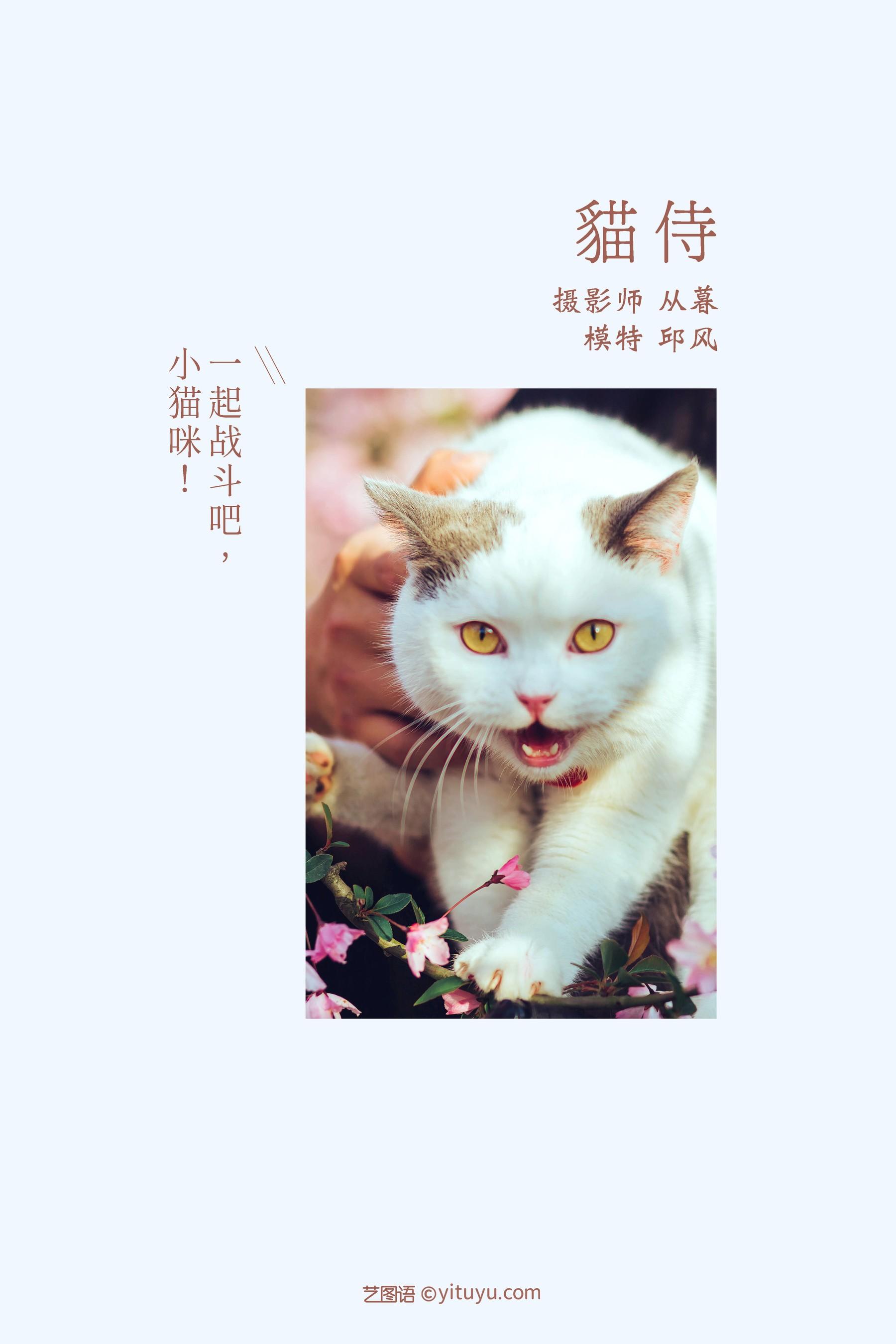 [YITUYU艺图语]2021.09.04 猫侍 邱风 [31P]插图